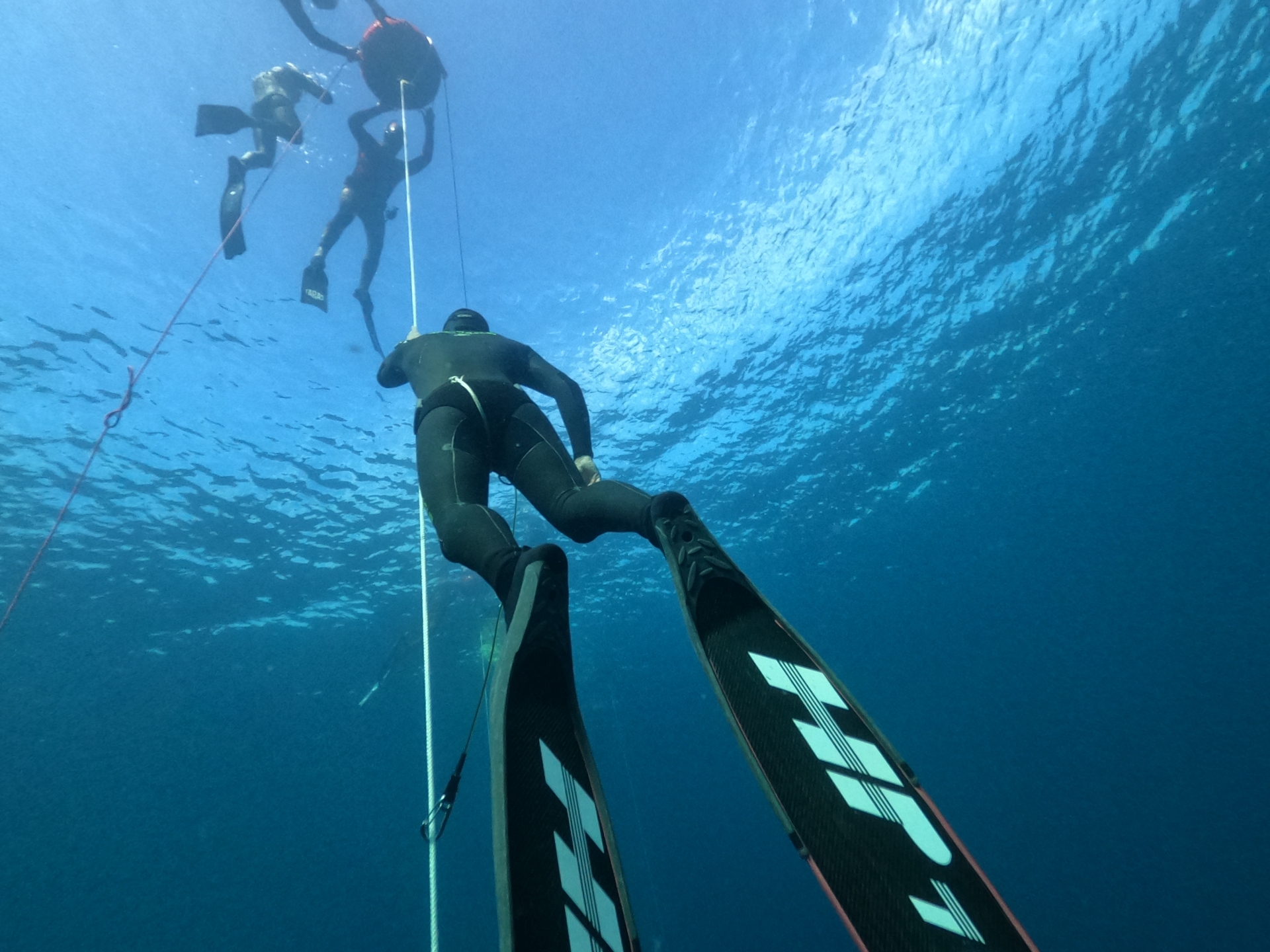 Corde De Flottaison Orange Pour Plongée - 21 Mètres - Polyester 5mm - Sécurité Apnée, Chasse Sous-marine