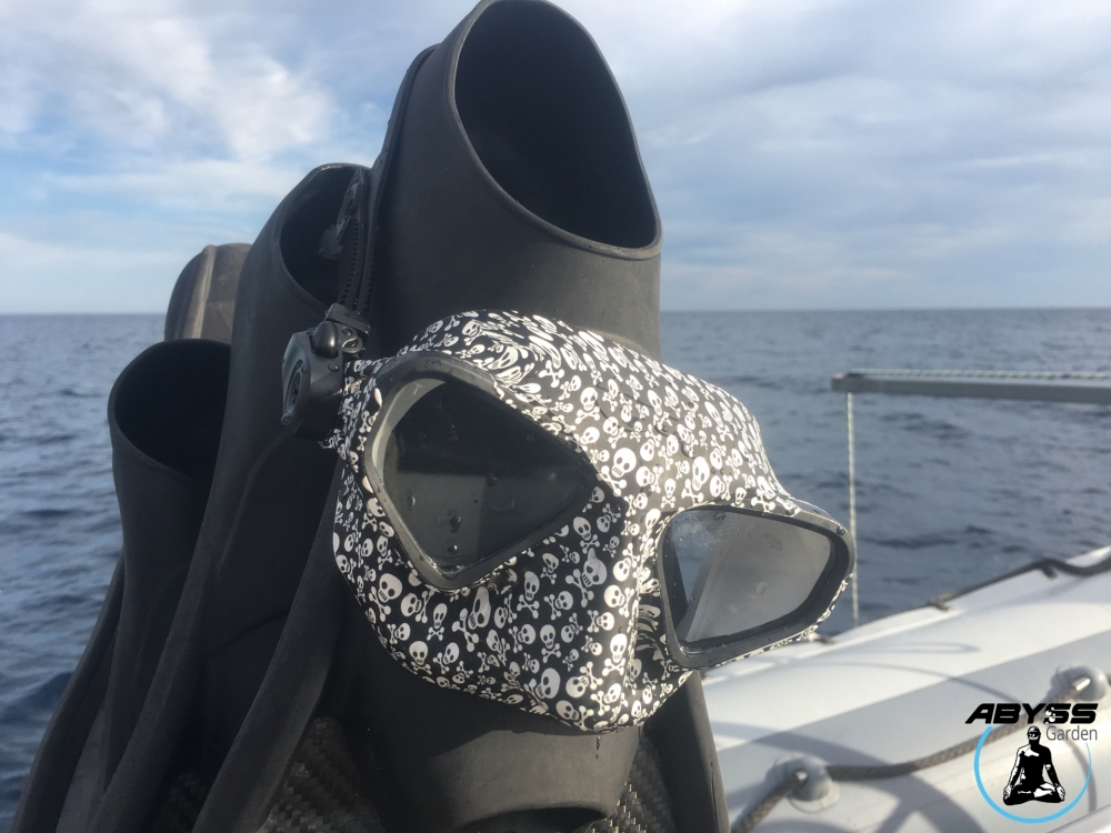 masque Falcon pirate